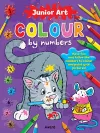 Junior Art Colour By Numbers: Cat cover