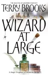 Wizard At Large cover