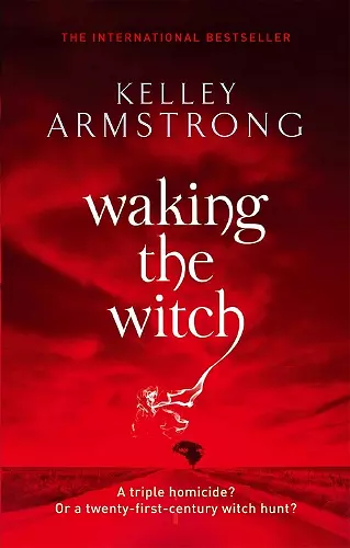 Waking The Witch cover