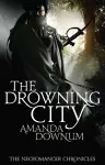 The Drowning City cover