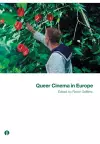 Queer Cinema in Europe cover