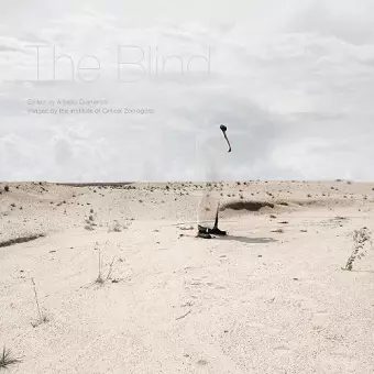 The Blind cover