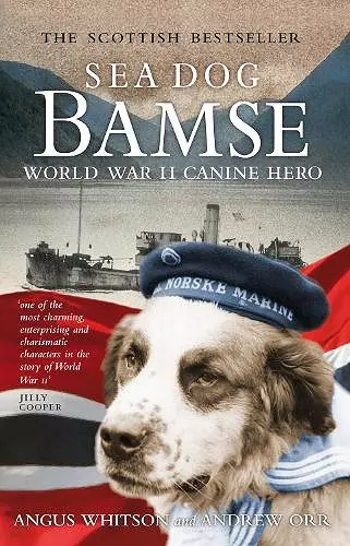 Sea Dog Bamse cover