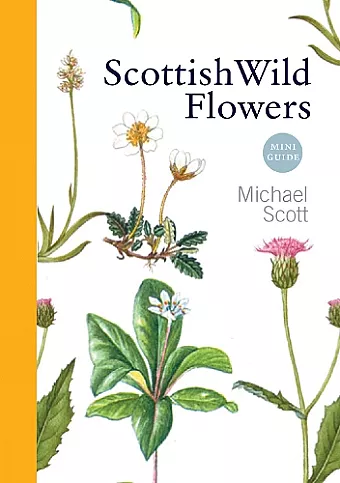 Scottish Wild Flowers cover