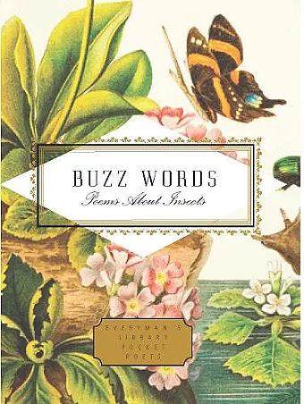 Buzz Words cover