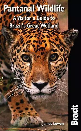 Pantanal Wildlife cover