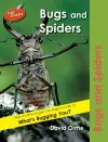 Bugs and Spiders cover