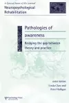 Pathologies of Awareness: Bridging the Gap between Theory and Practice cover