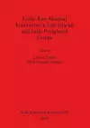 Lithic Raw Material Economies in Late Glacial and Early Postglacial Europe cover