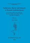 Settlement Burial and Industry in Roman Godmanchester cover
