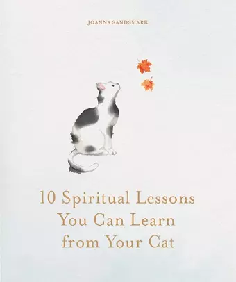 10 Spiritual Lessons You Can Learn from Your Cat cover