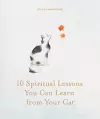 10 Spiritual Lessons You Can Learn from Your Cat cover