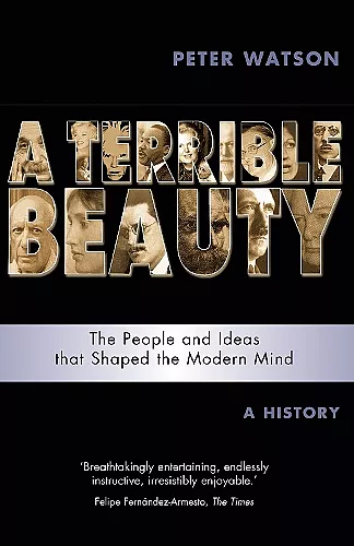 Terrible Beauty: A Cultural History of the Twentieth Century cover