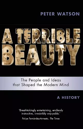 Terrible Beauty: A Cultural History of the Twentieth Century cover