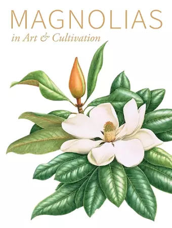 Magnolias cover