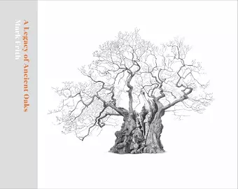 A Legacy of Ancient Oaks cover
