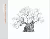 A Legacy of Ancient Oaks cover