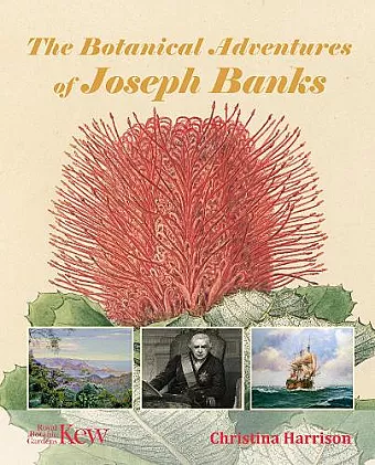 The Botanical Adventures of Joseph Banks cover