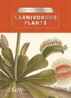 Kew Pocketbooks: Carnivorous Plants cover