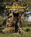 Ancient Oaks in the English Landscape cover