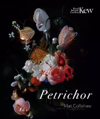 Petrichor cover