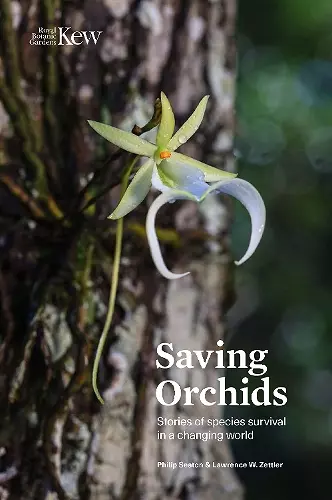 Saving Orchids cover