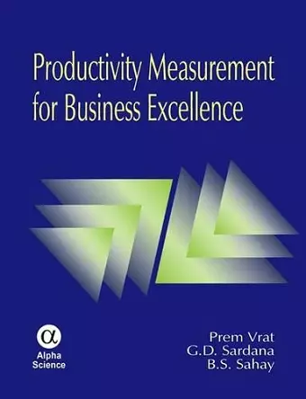 Productivity Measurement for Business Excellence cover