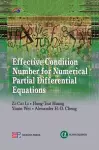 Effective Condition Number for Numerical Partial Differential Equations cover