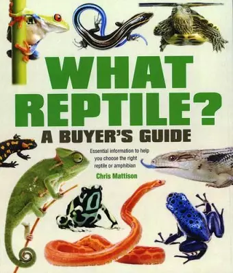 What Reptile? A Buyer's Guide cover