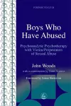 Boys Who Have Abused cover