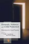 Domestic Violence and Child Protection cover
