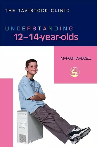 Understanding 12-14-Year-Olds cover