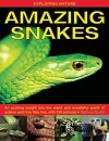 Exploring Nature: Amazing Snakes cover