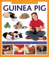 How to Look After Your Guinea Pig cover