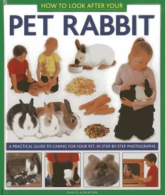 How to Look After Your Pet Rabbit cover