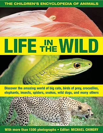 The Children's Encyclopedia of Animals: Life in the Wild cover