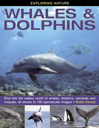 Exploring Nature: Whales & Dolphins cover