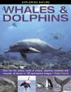 Exploring Nature: Whales & Dolphins cover
