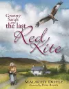Granny Sarah and the Last Red Kite cover