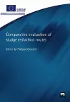 Comparative Evaluation of Sludge Reduction Routes cover