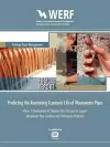 Predicting the Remaining Economic Life of Wastewater Pipes cover