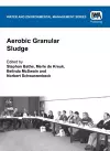 Aerobic Granular Sludge cover
