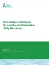 Risk Analysis Strategies For Credible and Defensible Utility Decisions cover