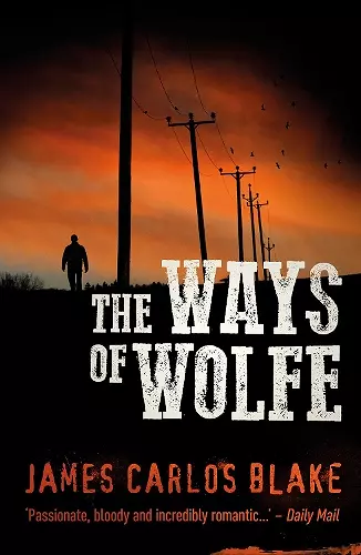 The Ways of Wolfe cover