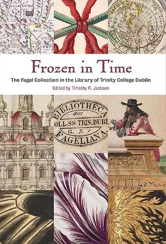 Frozen In Time cover