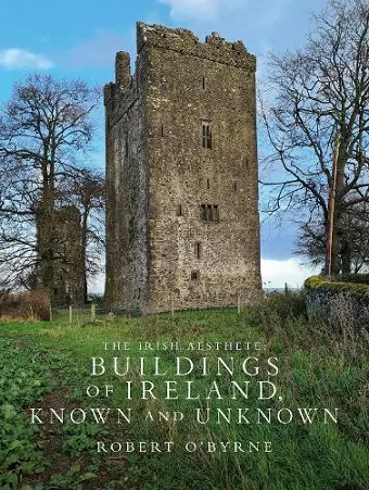 The Irish Aesthete: Buildings of Ireland, Known and Unknown cover