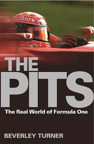 The Pits cover