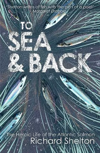 To Sea and Back cover