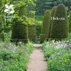 Hidcote cover