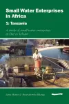 Small Water Enterprises in Africa 1 - Tanzania: A Study of Small Water Enterprises in Dar es Salaam cover